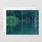 大正池 ポストカード (正面/裏面)