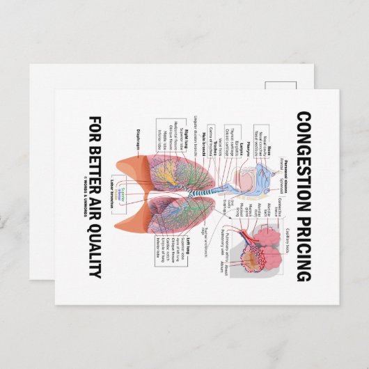 大気質の向上のための輻輳価格 ポストカード (正面/裏面)