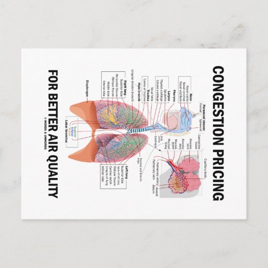 大気質の向上のための輻輳価格 ポストカード (正面)