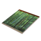 大河内山荘京都·嵐山·日本3 タイル (側面)