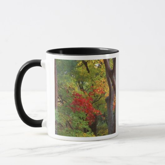 大河内山荘 京都嵐山 日本 5 マグカップ (左)