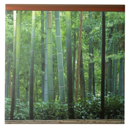 大河内山荘 京都府京都市嵐山 タイル (正面)