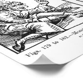 大洪水生まれの怪獣 ポスター (角)