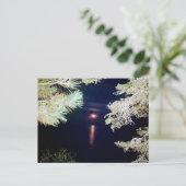 大湾2023ポストカードの松を通る月 ポストカード (スタンド正面)