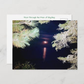 大湾2023ポストカードの松を通る月 ポストカード (正面/裏面)