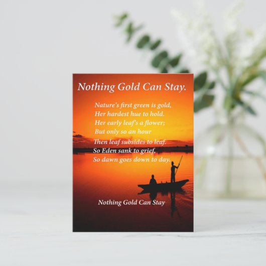 大漁 ポストカード (スタンド正面)