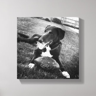 大物 キャンバスプリント