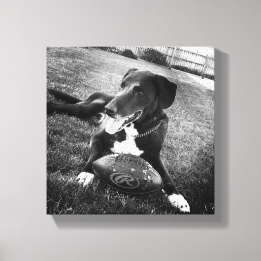 大物 キャンバスプリント (正面)