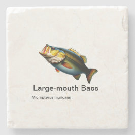 大理石の大口ベース ストーンコースター