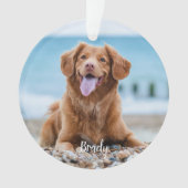 大理石の記憶引用文ドッグフォトペットメモリアル オーナメント (正面)