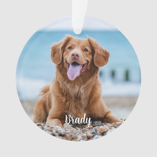 大理石の記憶引用文ドッグフォトペットメモリアル オーナメント (正面)