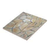 大理石エレガント質陶磁器 タイル (側面)