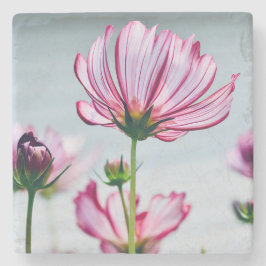 大理石コスモスコースター ストーンコースター