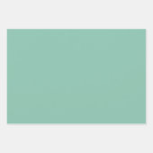 大理石シームレステラコッタアンドジェイド ラッピングペーパーシート (正面3)