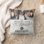 大理石ペットロス記念引用文&フォトコラージュ クッション (ブランケット)