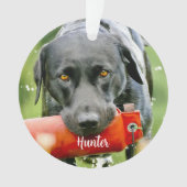 大理石悔やみや弔慰引用文ドッグフォトペットメモリアル オーナメント (正面)