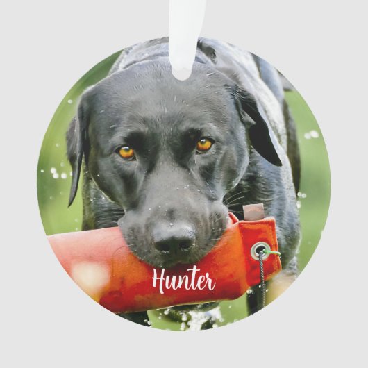 大理石悔やみや弔慰引用文ドッグフォトペットメモリアル オーナメント (正面)