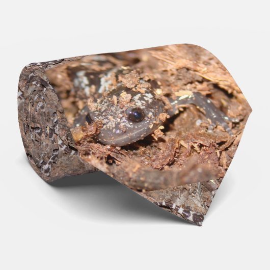 大理石模様をつけられたサンショウウオのタイ ネクタイ (ロール)