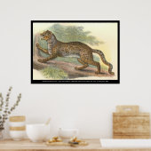 大理石猫 ポスター (キッチン)