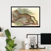 大理石猫 ポスター (ホームオフィス)