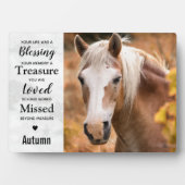 大理石 馬の記念品 馬の追悼プレート フォトプラーク (正面)