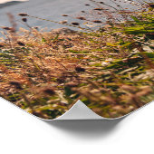 大番水辺 ポスター (角)