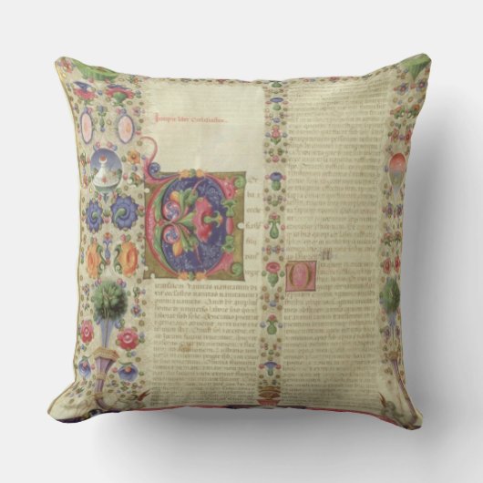 大石柱422 VolI fol.280v本の始めの クッション (正面)