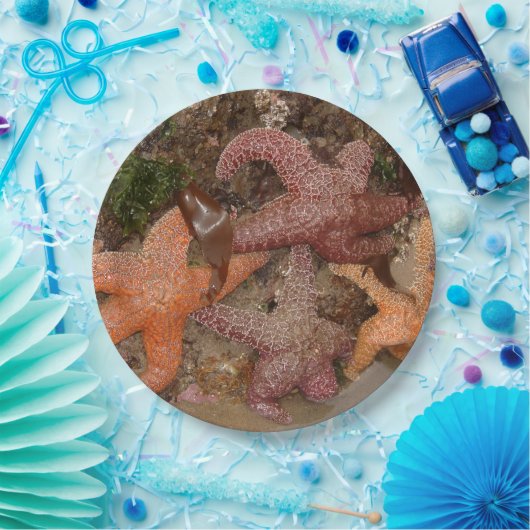 大砲のビーチのヒトデか海星、または、写真4 ペーパープレート (パーティー)