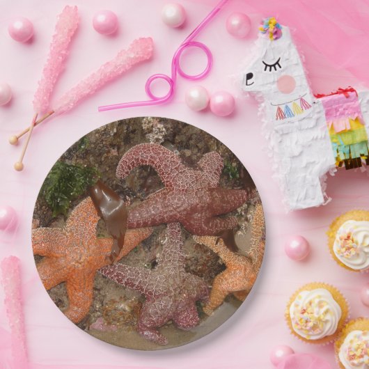 大砲のビーチのヒトデか海星、または、写真4 ペーパープレート (パーティー)