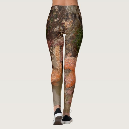 大砲のビーチのヒトデか海星、または、写真4 レギンス (裏面)