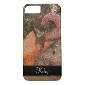 大砲のビーチのヒトデか海星、または、4名前 Case-Mate iPhoneケース (裏面)