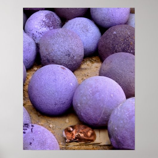 大砲の玉に迷い込む ポスター (正面)