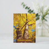 大秋 ポストカード (スタンド正面)