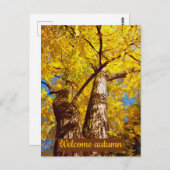 大秋 ポストカード (正面/裏面)