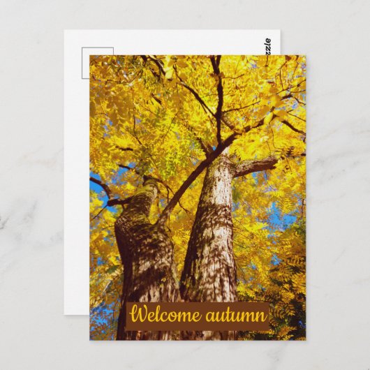 大秋 ポストカード (正面/裏面)