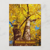 大秋 ポストカード (正面)