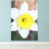 大素晴らし水仙 キャンバスプリント (インサイチュ (ウッドフロア))