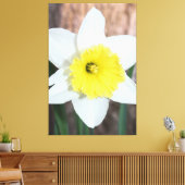 大素晴らし水仙 キャンバスプリント (インサイチュ (リビング))