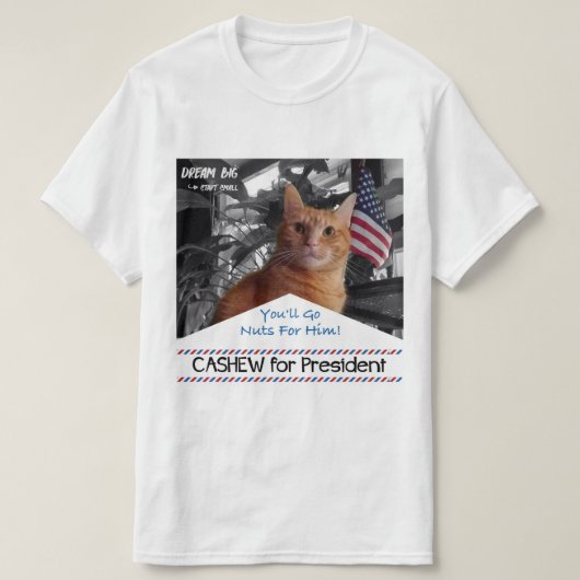 大統領のためのカシュー Tシャツ (デザイン正面)