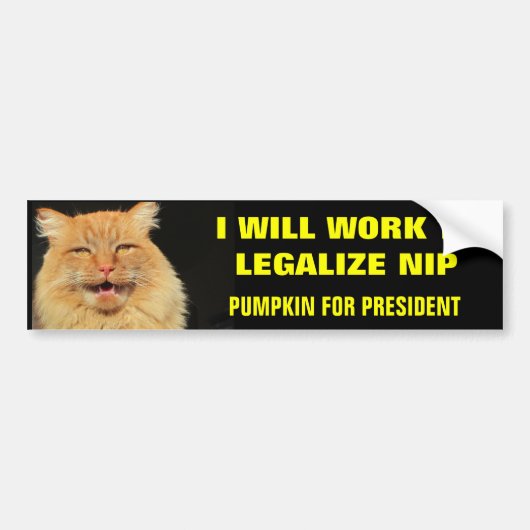 大統領のためのLegalize Nip- Boldカボチャ バンパーステッカー (正面)