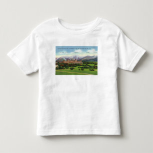 大統領のな範囲の眺め トドラーTシャツ