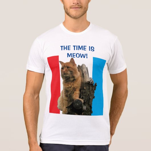 大統領の時はムー・パンプキンだ Tシャツ (正面)