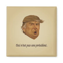 大統領の磁石ではない