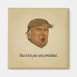 大統領の磁石ではない マグネット