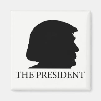 大統領の磁石を引っ張る マグネット