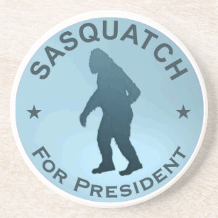 大統領サスカッチ コースター