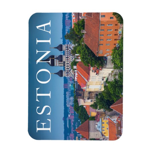 大聖堂と街並み |エストニア マグネット (縦)