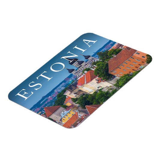 大聖堂と街並み |エストニア マグネット (左側)