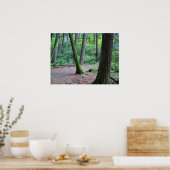 大聖堂の松 ポスター (キッチン)