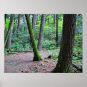 大聖堂の松 ポスター (正面)